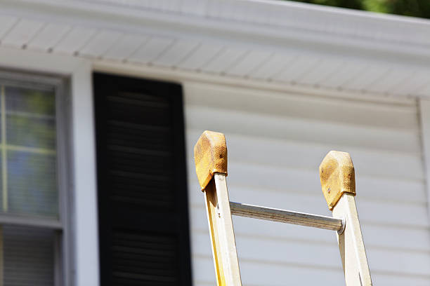 Best Siding Removal and Disposal  in Kingston, TN