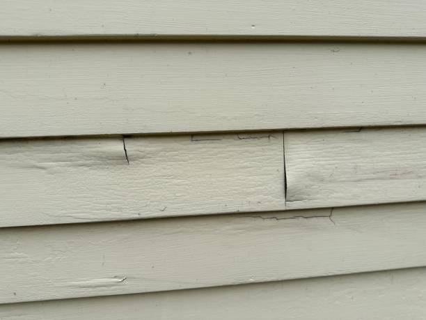 Best Custom Trim and Detailing for Siding  in Kingston, TN